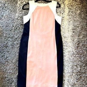 Ann Taylor Pink and Navy Dress